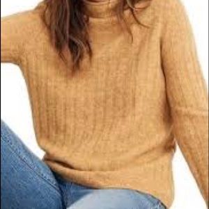 NWT Madewell Evercrest Turtleneck Sweater